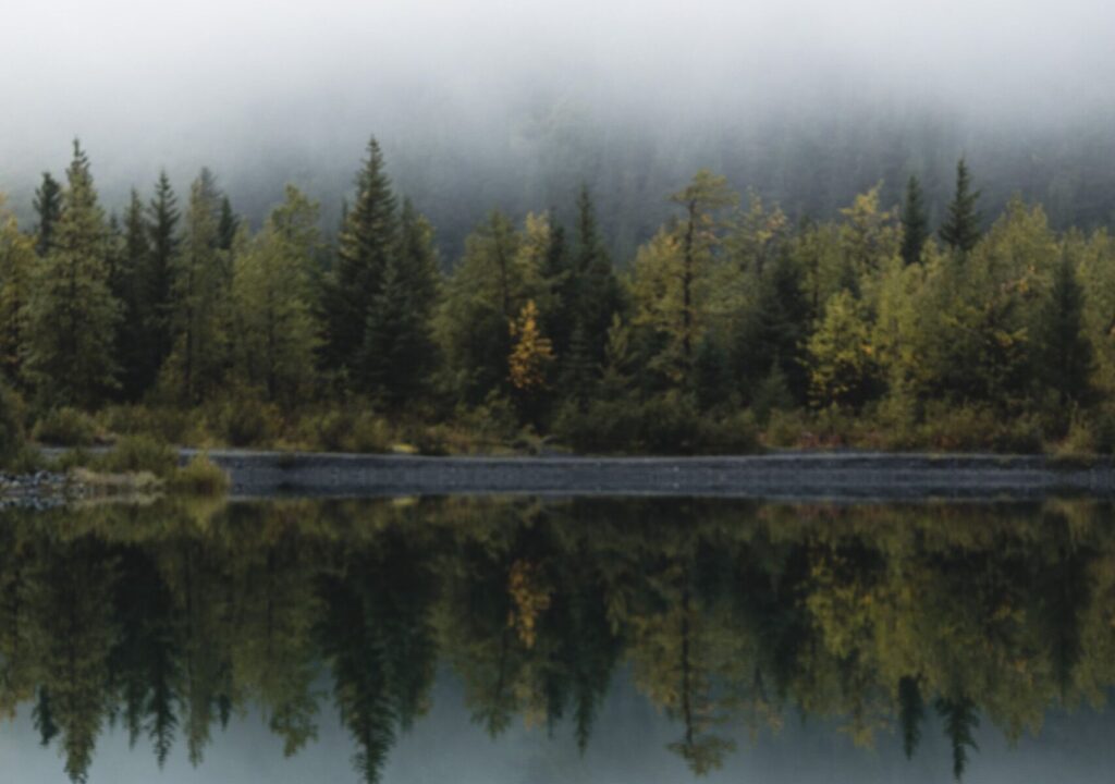 calm nature scene
