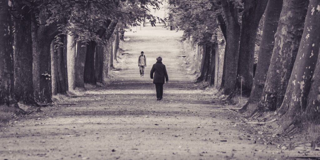 An older adult walking alone down a quiet tree-lined path